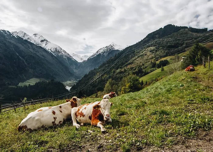 Baranek - Baranek Penzion 3*